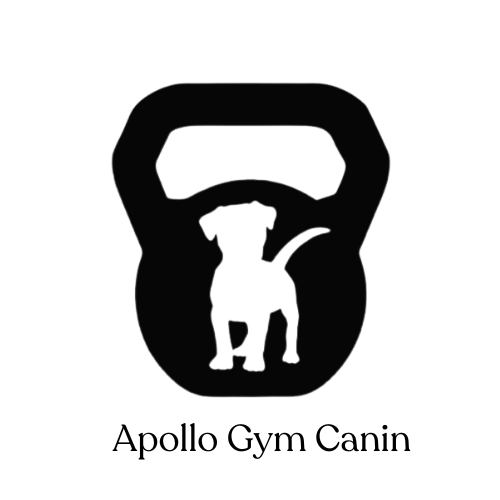Apollo gym canin